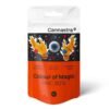 Cannastra HHC Blüten Colour of Magic 80%