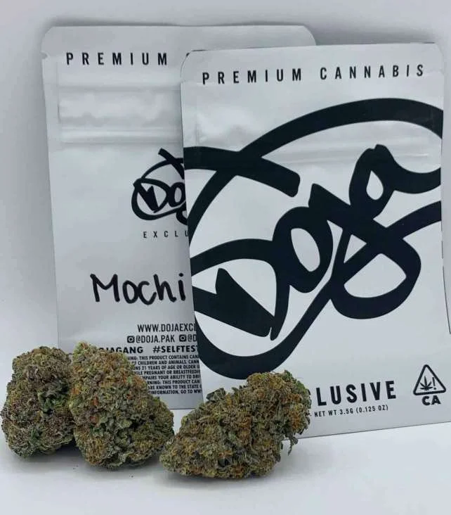 Kaufen Sie Doja Mochi Sorteninformationen Mochi, auch bekannt als „ Gelato 47 “ und „Mochi Gelato“, ist eine hybride Cannabissorte, die Kreativität fördert und Schmerzen lindert. Diese Sorte ist das Ergebnis einer Kreuzung aus Sunset Sherbet und Thin Mint Girl Scout Cookies. Mochi fällt durch seine dichten und schönen Blüten auf, die eine frostige Mischung aus Lila, Jade und leuchtendem Rot aufweisen. doja-mochi THC und CBD Mochi ist eine THC-dominante Sorte mit typischerweise hohen Werten, die starke psychoaktive Wirkungen hervorrufen können, während der CBD-Gehalt relativ niedrig bleibt. Wirkung, Aroma und Geschmack der Sorte Wirkung Die Wirkung von Mochi ist in erster Linie entspannend, verursacht aber auch Schläfrigkeit und steigert den Appetit. Einige Benutzer berichten jedoch auch von Angstgefühlen oder Paranoia sowie trockenen Augen als Nebeneffekte. Aroma Mochi verströmt ein betörendes Aroma mit Noten von Minze und Vanille, angereichert mit einer allgegenwärtigen Süße, wodurch ein angenehmes und komplexes Geruchserlebnis entsteht. Erleichterung Diese Sorte wird oft wegen ihrer Wirksamkeit gegen Angstzustände, Schlaflosigkeit und Stress gesucht und verschafft ihren Anwendern spürbare Linderung. Geschmack Das Geschmacksprofil von Mochi wird von Noten von Minze und Vanille mit einem Hauch von Süße dominiert und macht jeden Zug zu einem exquisiten Geschmackserlebnis. Warum Mochi von Cannabis420 kaufen? Cannabis420 ist dafür bekannt, Cannabisprodukte höchster Qualität anzubieten. Wenn Sie sich für Mochi von Cannabis420 entscheiden, erhalten Sie garantiert eine reine Sorte, die unter optimalen Bedingungen angebaut wird, um ihre Wirksamkeit und Effektivität sicherzustellen. Medizinische Auswirkungen Dank seiner entspannenden und beruhigenden Eigenschaften ist Mochi besonders wirksam bei der Behandlung von Zuständen wie Angstzuständen, Schlaflosigkeit und Stress. Wie raucht man Cannabis? Mochi kann auf verschiedene Weise konsumiert werden, unter anderem in Joints, Bongs oder durch Verdampfen für ein sanfteres Erlebnis und stärkere Wirkung. Was die Leute über die Sorte Mochi sagen „Hilft mir, nach einem langen Tag zu entspannen.“ „Perfekt zur Bekämpfung von Schlaflosigkeit. » „Steigert den Appetit, ideal für alle, die ihre Ernährung anregen müssen.“ „Kann bei Verzehr großer Mengen Angstzustände verursachen.“ „Die Minz- und Vanillearomen sind sehr angenehm.“ Wo kann man in der EU Cannabis online kaufen? Um Mochi und andere Premiumsorten zu erwerben, besuchen Sie unsere 420coffeeshop -Site. Wir bieten eine vielfältige Auswahl an Premium-Cannabis mit sicherer und diskreter Lieferung in ganz Europa. Wie lagert man Cannabis? Um die Frische und Wirksamkeit von Mochi zu bewahren, lagern Sie es in einem luftdichten Behälter geschützt vor Licht und Feuchtigkeit an einem kühlen, dunklen Ort. Regierungsgesetz für den Verkauf von Cannabis in Europa Der Verkauf von Cannabis ist in Europa reguliert und variiert je nach Land. Es ist wichtig, die lokalen Gesetze in Bezug auf den Verkauf und Konsum von Cannabis einzuhalten, sei es für medizinische oder Freizeitzwecke. Informieren Sie sich vor dem Kauf unbedingt über die Vorschriften in Ihrer Region.