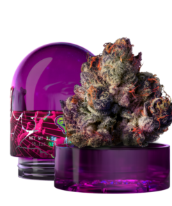 Kaufen Sie Wizard Trees New Yorker, eine euphorisierende und entspannende Hybridsorte, auf 420coffeeshop.de. Genießen Sie Premium-Qualität und diskrete Lieferung in Deutschland.