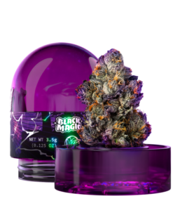 Wizard Trees: Black Magic